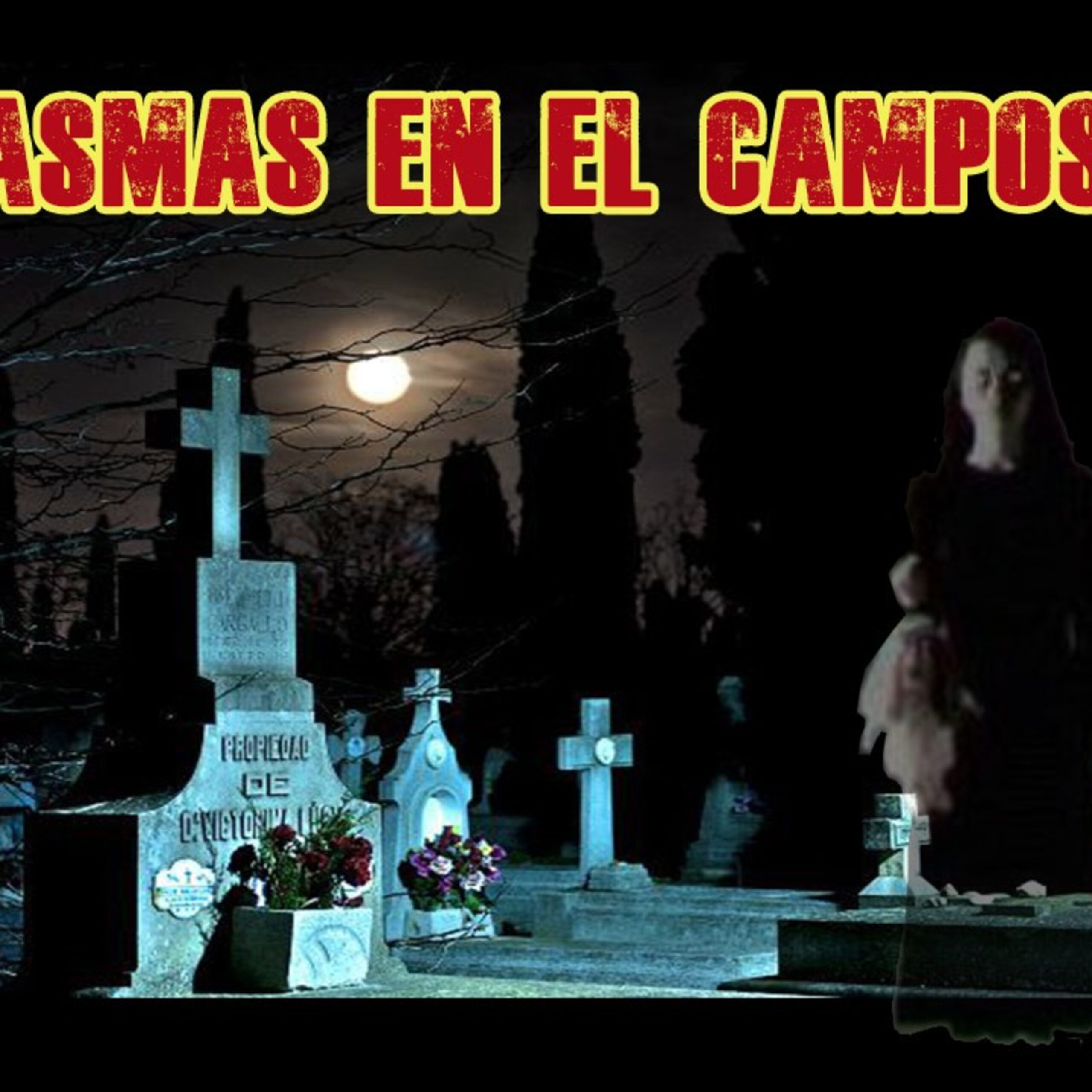 Fondo